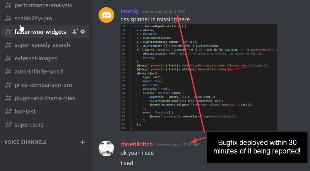 Screenshot of Super Speedy Plugins Discord channel where a user has an issue and Dave Hilditch replies with a fix 20 minutes later.