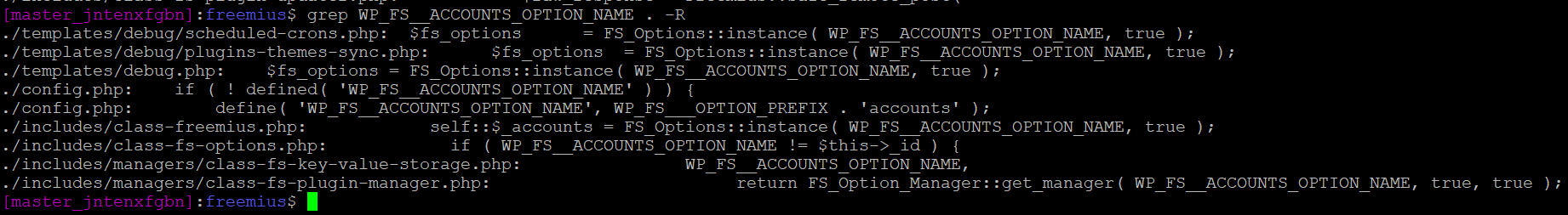 Suspicious filenames referencing WP_FS__ACCOUNTS_OPTION_NAME for storing sensitive information.