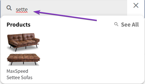Screenshot of Super Speedy Search Ajax results matching misspelled "sette" with "settee"