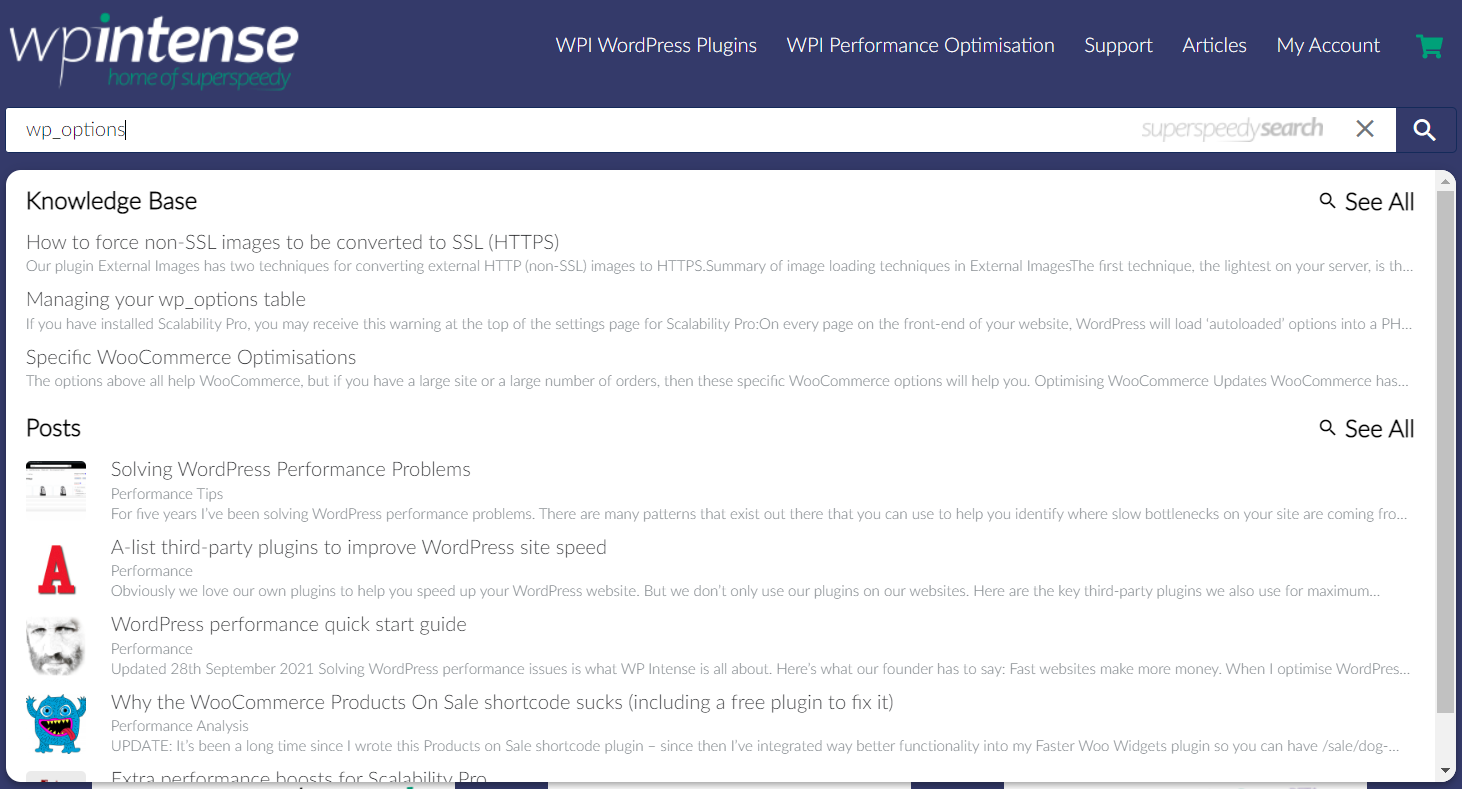 Super Speedy Search ajax panel on wpintense.com